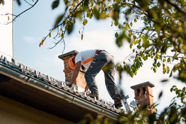 Best Storm Damage Roof Repair  in Houghton Lake, MI