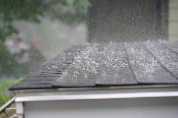Best Roof Coating and Sealing  in Houghton Lake, MI