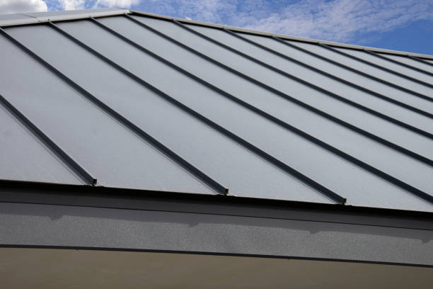 Best Solar Panel Roofing Installation  in Houghton Lake, MI